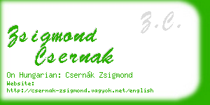 zsigmond csernak business card